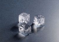Premium or Gourmet Ice Premium or Gourmet Ice